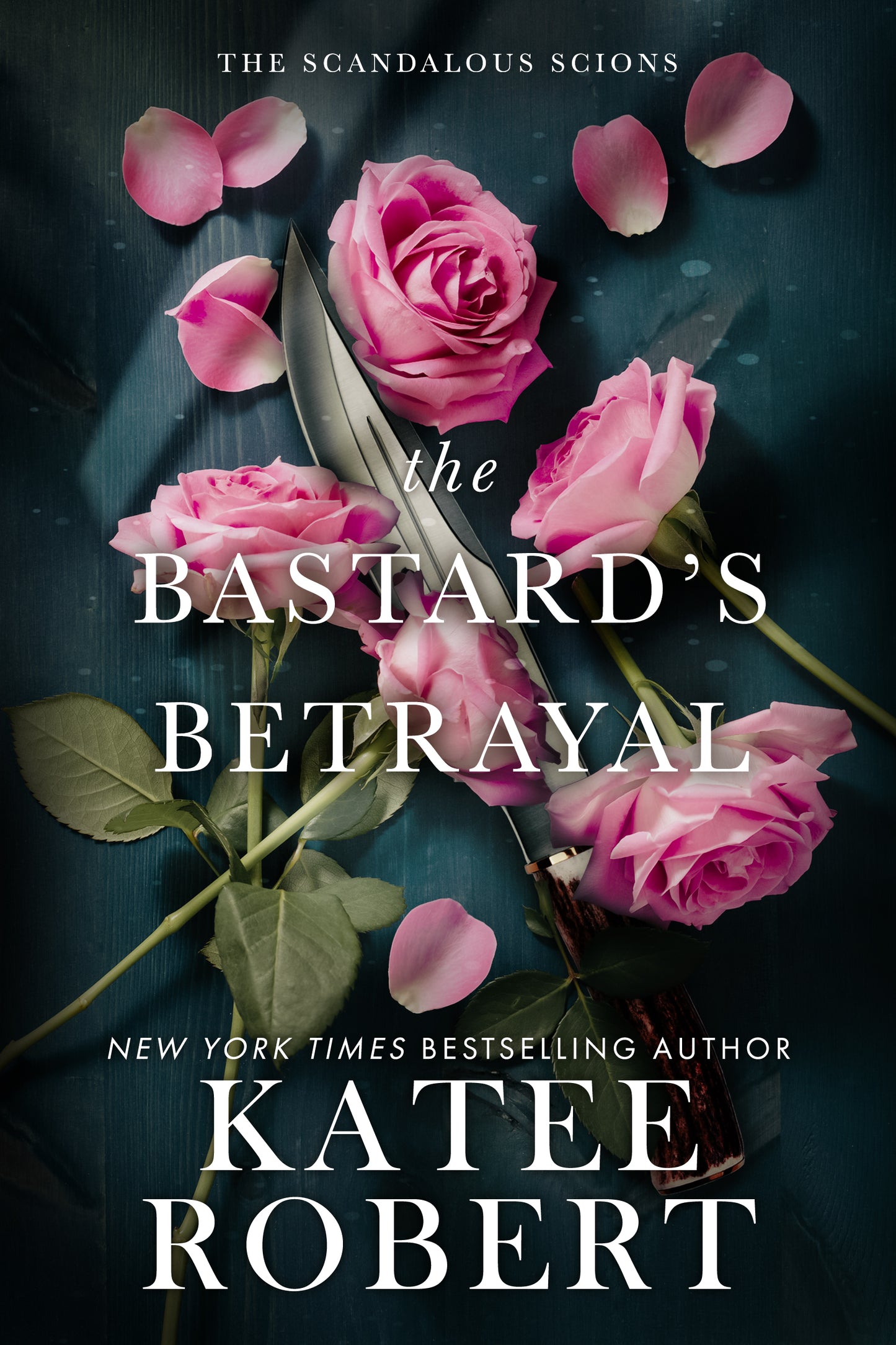 The Bastard's Betrayal Ebook